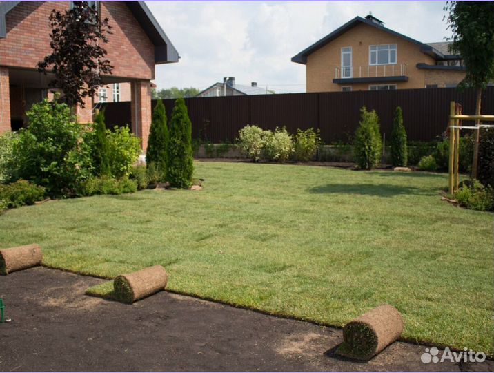 Рулонный газон Элитный под ключ