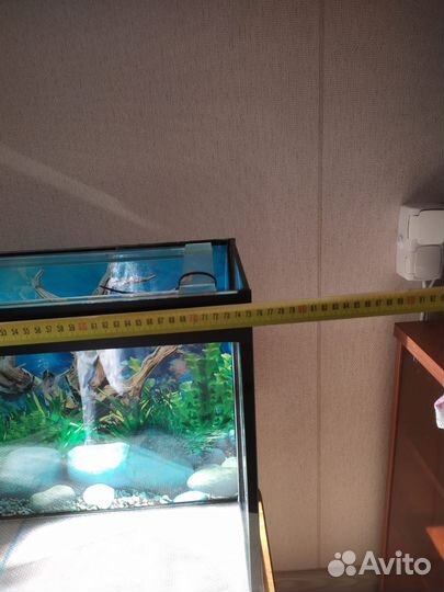 Аквариум