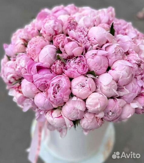 Пионы Цветы Доставка