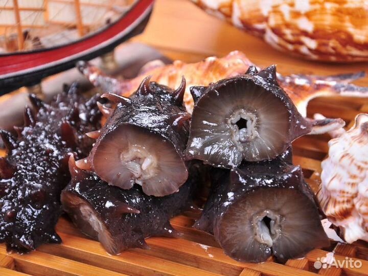 Трепанг кокумария на меду