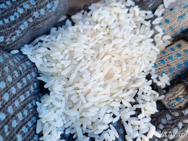 Рис для животных во Владимире