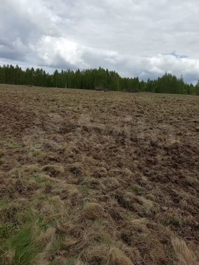 Участок 252 га (СНТ, ДНП)