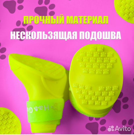 Обувь для питомцев