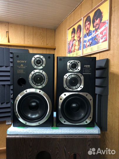 Акустические колонки Sony SS-V725AV