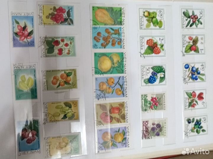 Марки цветы, растения Альбом с марками