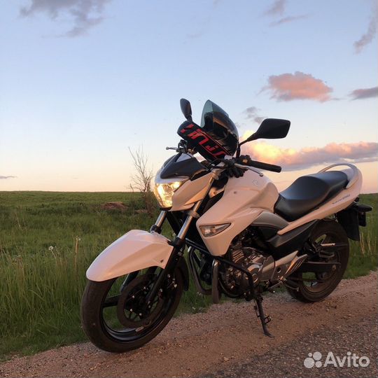 Suzuki GW 250