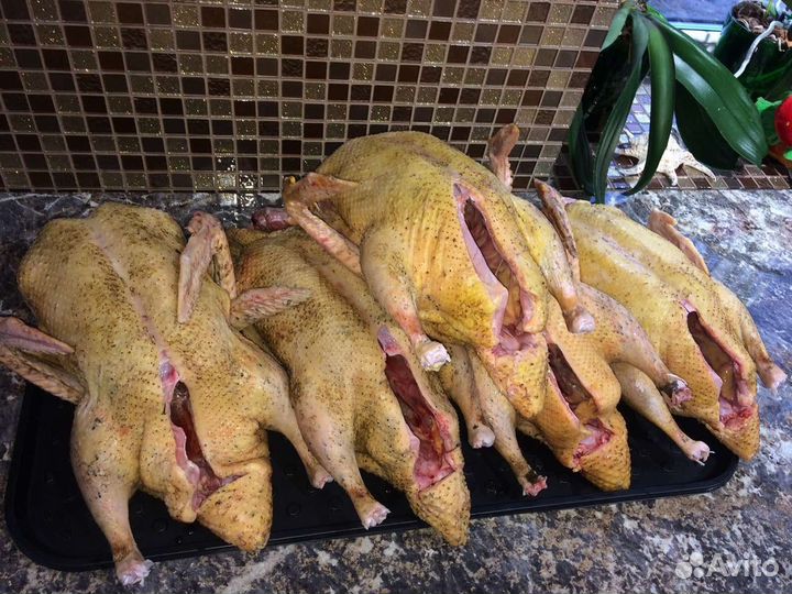 Мясо индоутки,утки