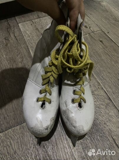 Коньки зимние