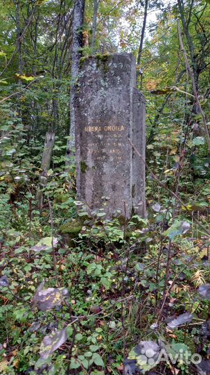 Ольховая глушь. Женское место силы