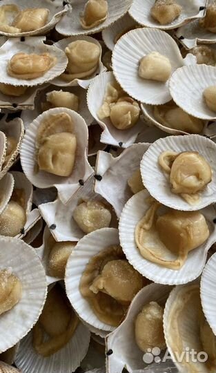 Гребешок на полустворке