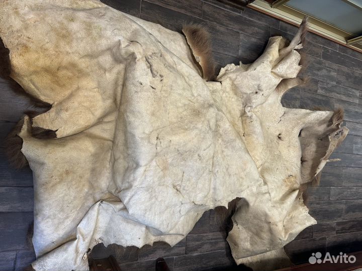 Шкура медведя имитация