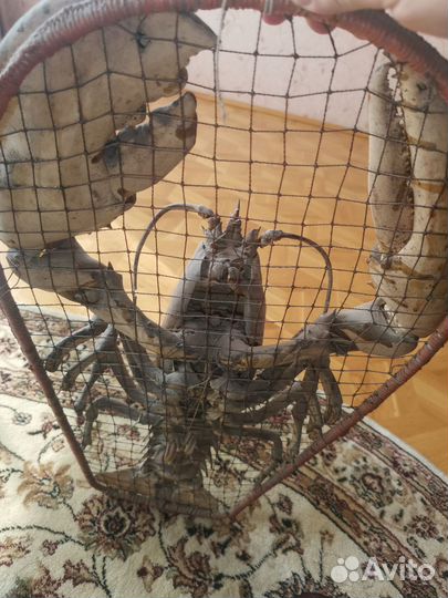 Чучело омара