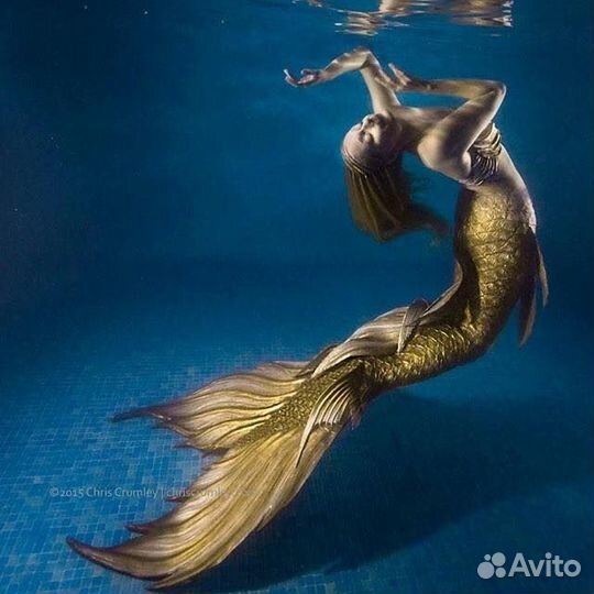 Аниматор-фридайвер