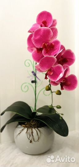 Композиция Орхидея