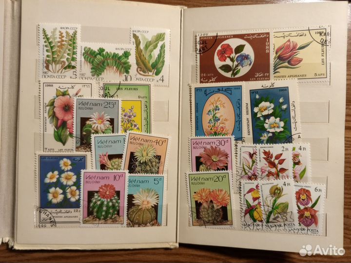 Почтовые марки. Флора