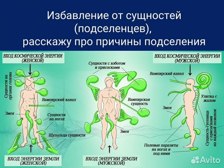 Снять порчу сглаз обучение