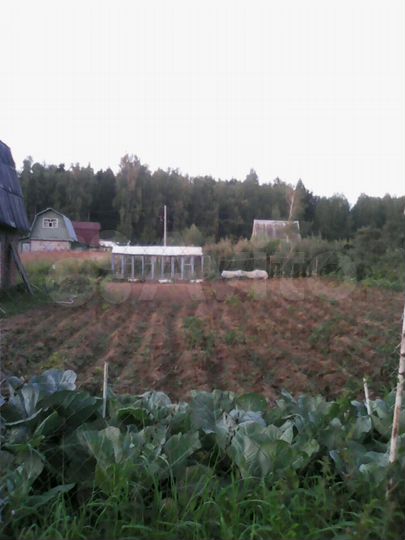 Участок 10 сот. (СНТ, ДНП)