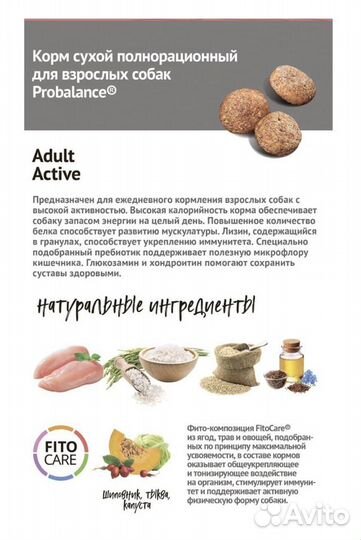 Корм д/взрослых собак с высокой активностью