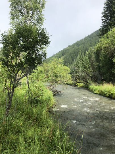 Участок 1,5 га (ИЖС)