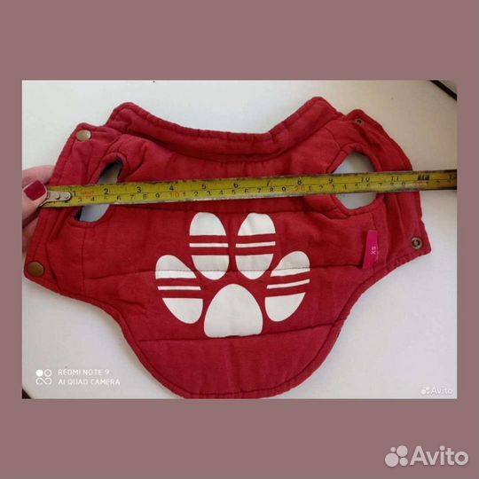 Одежда и ошейник для маленьких собак