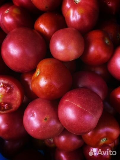 Вяленые помидоры