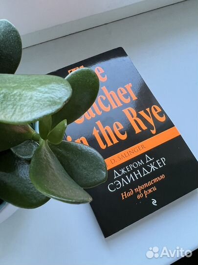 Джером Д. Сэлинджер Над пропастью во ржи