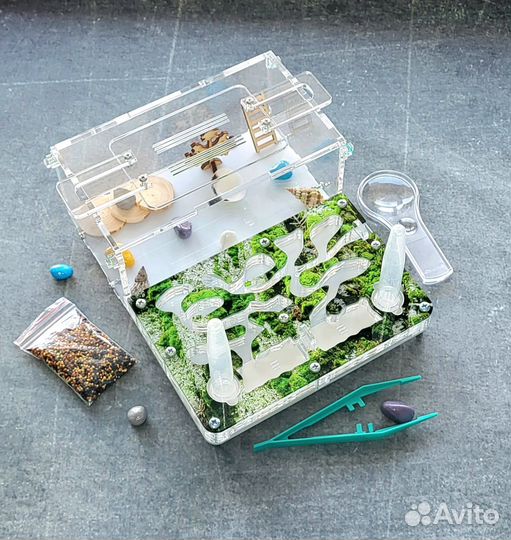 Муравьиная ферма новая