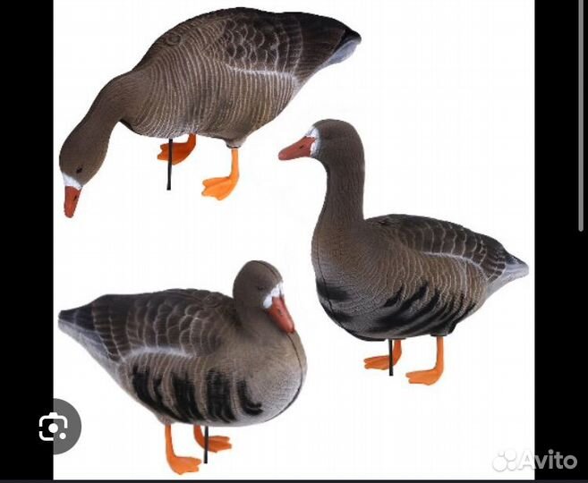Чучела гусей 3D живое перо 15 штук+рюкзак