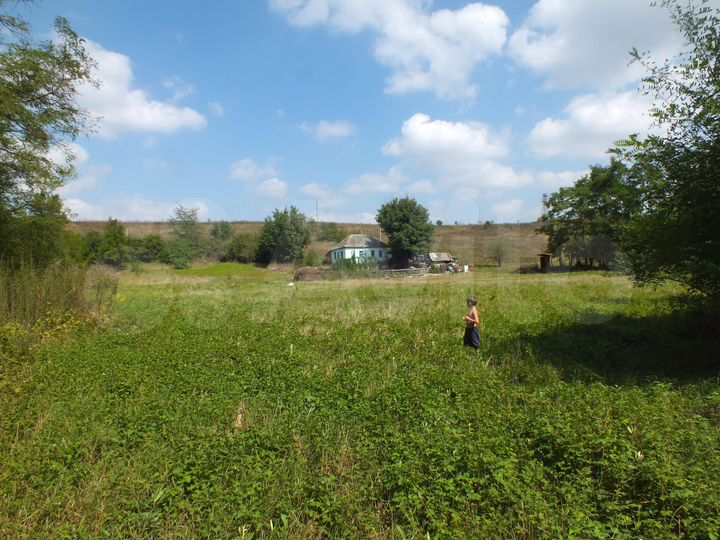 Дом 56 м² на участке 46 сот.