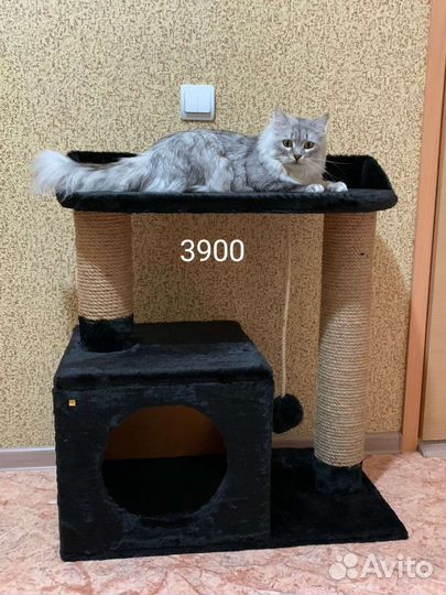 Игровые комплексы для кошек