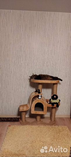 Игровой спорт комплекс для кошек и котов