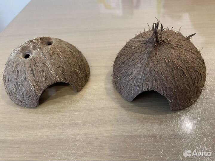 Домики укрытия для аквариума