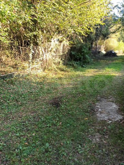 Участок 4,9 сот. (СНТ, ДНП)