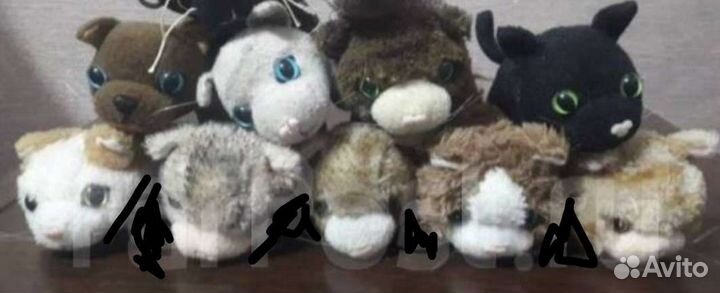 Мягкие игрушки ty yoohoo friends животные котята