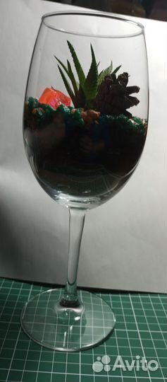 Флорариум в бокале с суккулентом Хавортия