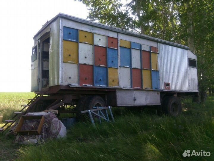 Мёд, с личной пасеки