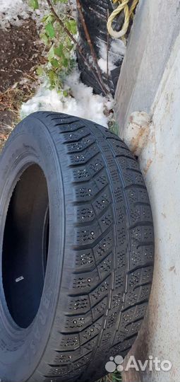 Brasa IceControl 195/65 R15