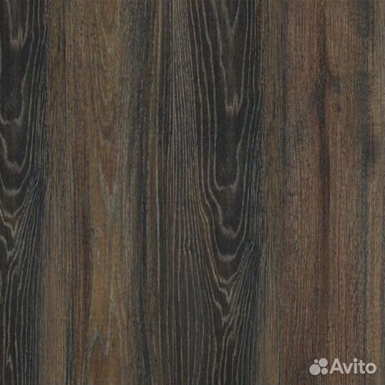 Holiday 832 Дуб Романтичный 32 класс