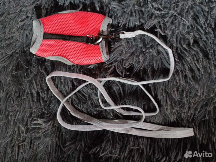 Шлейка для крыс