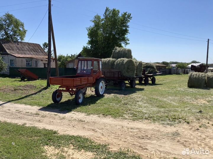Трактор ХЗТСШ Т-16, 1974