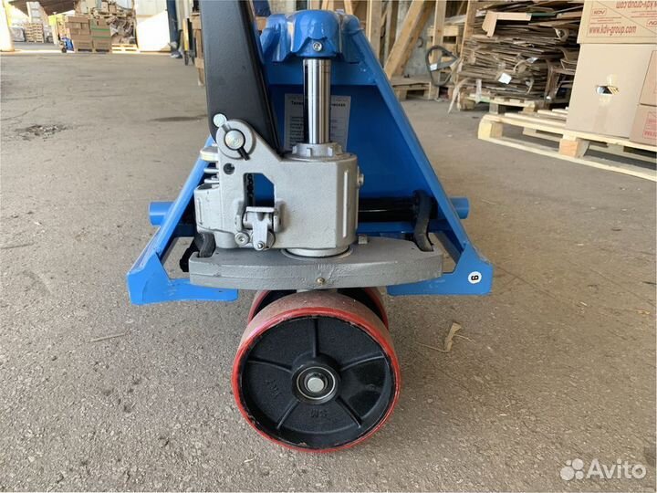 Рохля длинная