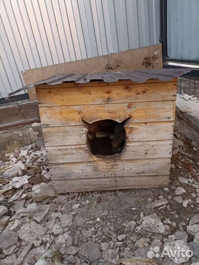 Будка для собаки бесплатно