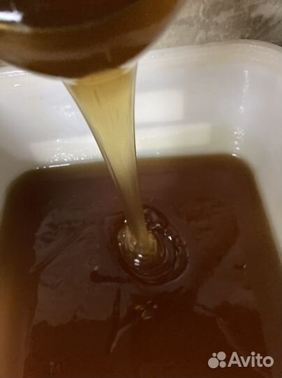 Мёд липа горная