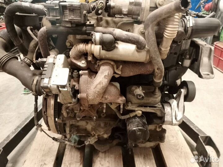 Двигатель kkda 1.8 Форд Фокус 2 С-Макс