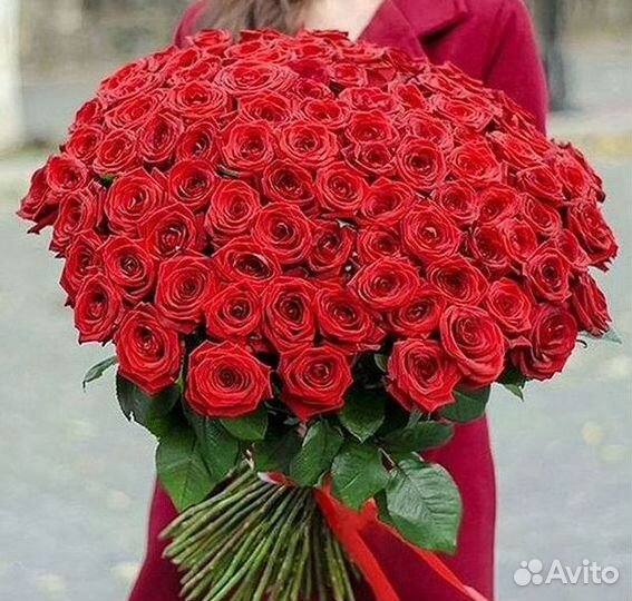 101 роза цветы букеты доставка 25 51 101 роза