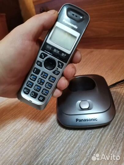 Panasonic