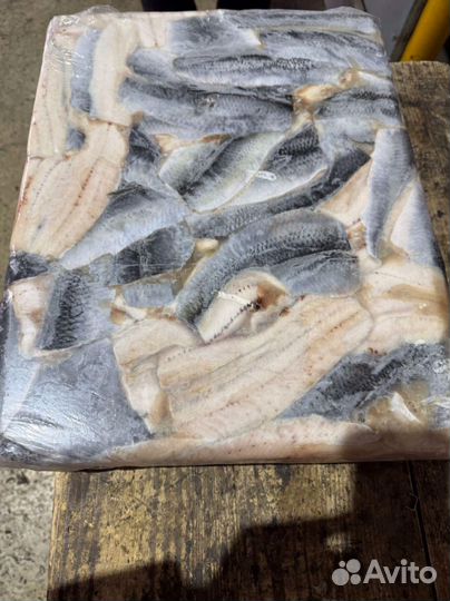 Филе сельди свежемороженое