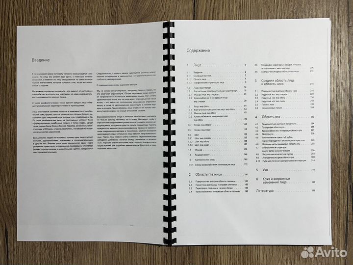 Лицо. Атлас клинической анатомии