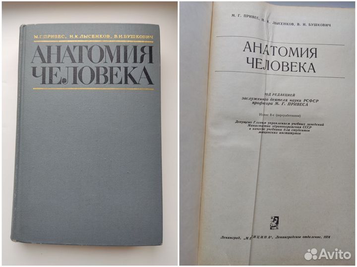 Книги Анатомия человека Топографическая анатомия