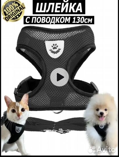 Шлейка для маленькой собачки или кошки (S) новая